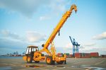 Learn About Hydra Cranes: Discover Information, Overview, Details, Advice, Suggestions, and Expert Insights